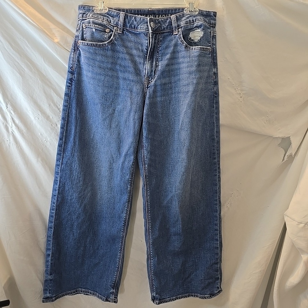American Eagle Low-Rise Baggy Wide Leg Denim Jeans Size 8 Short Distressed